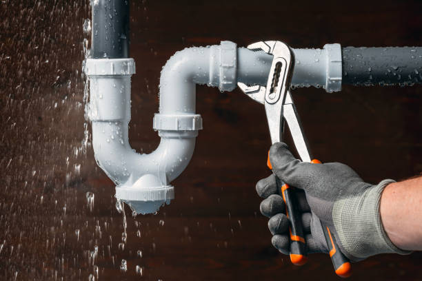 Professional Plumbing technician working in Lewis, NY